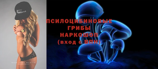 ALPHA-PVP Алексеевка