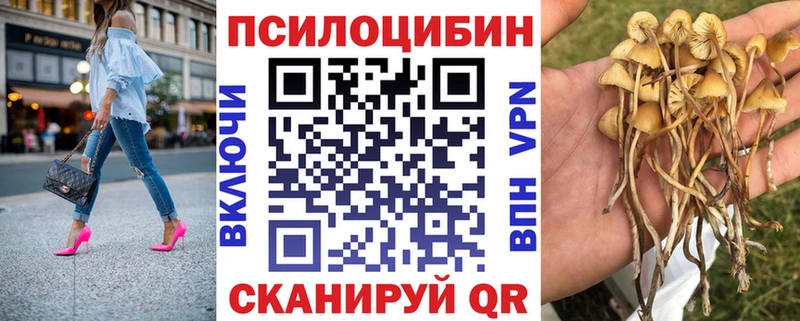 Псилоцибиновые грибы Psilocybe  Тобольск 